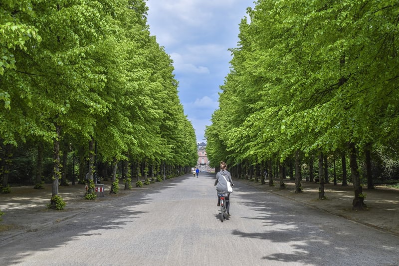 Cycling Tour Image
